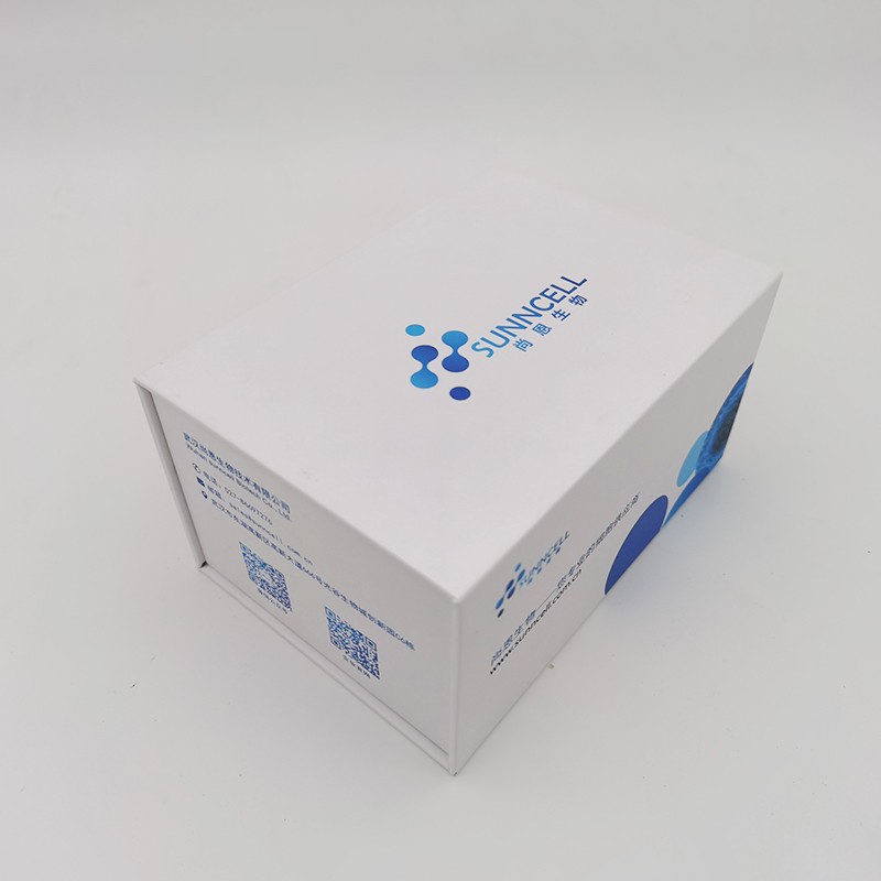 Saos-2人成骨肉瘤细胞实验及细胞培养图片