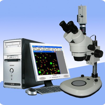 模拟摄像体视显微镜AT-MNUV图片