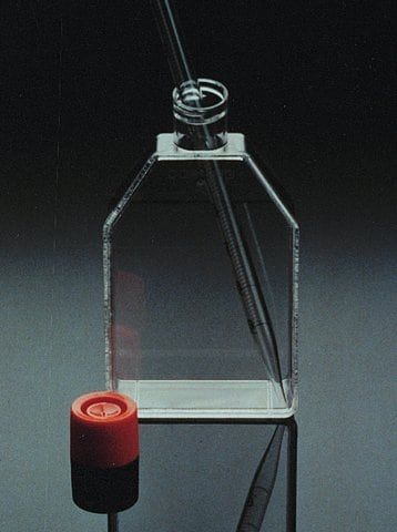 Corning<sup>?</sup> cell culture flasks