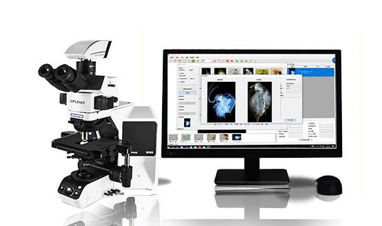 Aquatic-Z30浮游动物智能鉴定计数分析系统图片