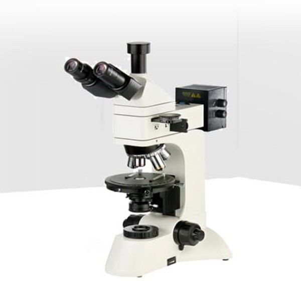 透反射偏光显微镜图片