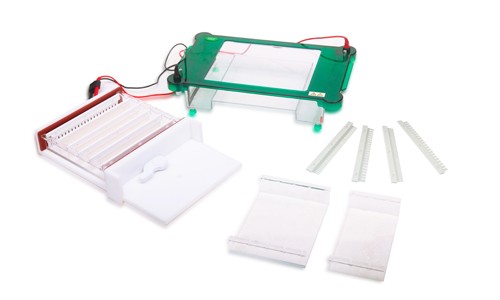 JY-SPGT型水平电泳槽图片