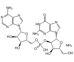 Guanylyl(2'�?')adenosine ammonium salt