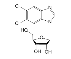 5,6-Dichlorobenzimidazole-1-β-D-ribofuranoside