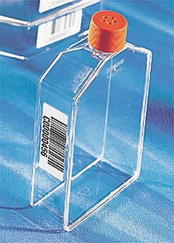 Corning<sup>?</sup> cell culture flasks