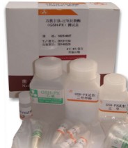 糖化血清蛋�?GSP)测定试剂�?果糖胺法)(带标�?图片