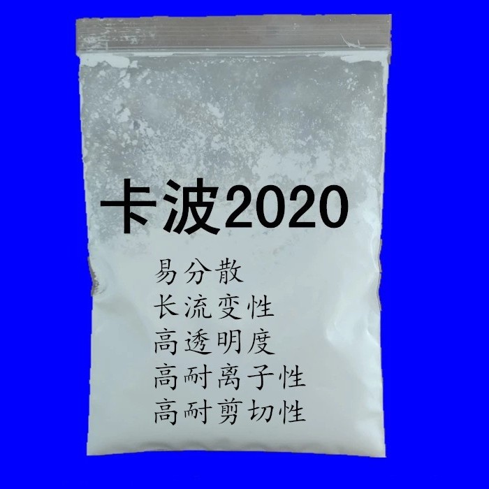 ����ķ2020ͼƬ