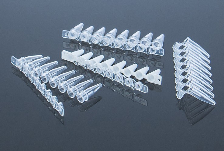 荧光定量PCR八联管图�?></a></div>    <span style=