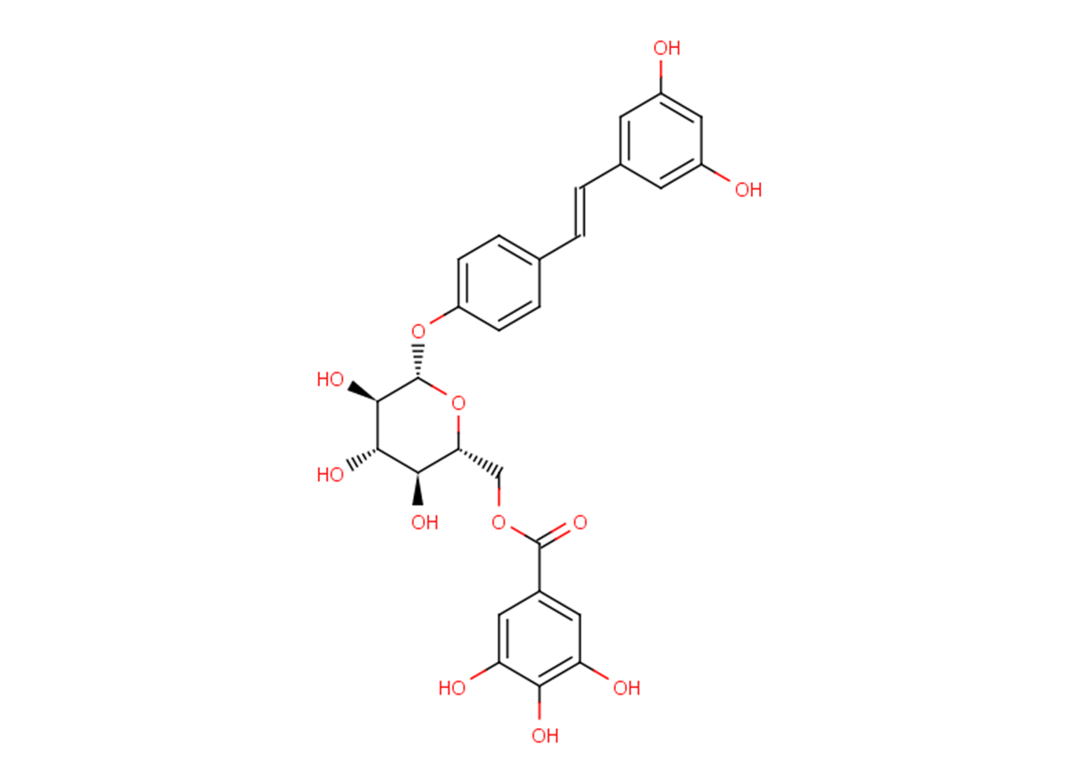 Resveratrol 4'-(6-galloylglucoside)图片