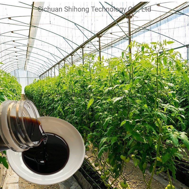 氨基寡糖肽图�?></a></div>    <span style=