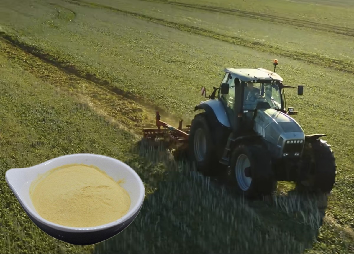 水解全游离氨基酸粉图?></a></div>    <span style=