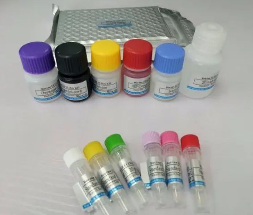 �������յ�GTP��ϵ���Mx1(MX1)ELISA����Լ���ͼƬ