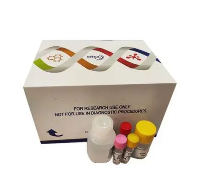 ѪС��Ĥ�ǵ�����ά����ԭ����(PAC-1)ELISA����Լ���ͼƬ