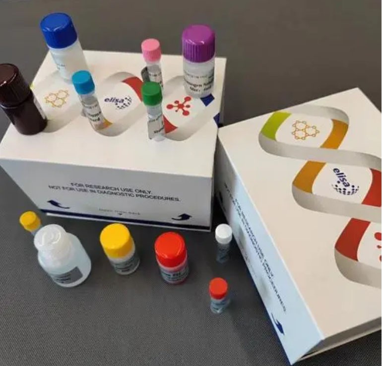 接触蛋白1 ELISA检测试剂盒图片