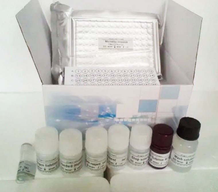 细胞色素p4502B6(CYP2B6)ELISA检测试剂盒图片