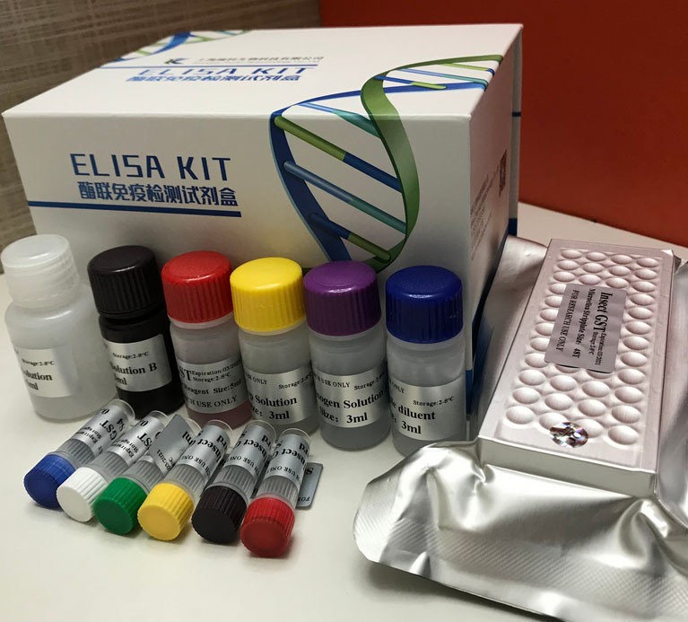 �������ϳ�ø(DHPS)ELISA����Լ���ͼƬ
