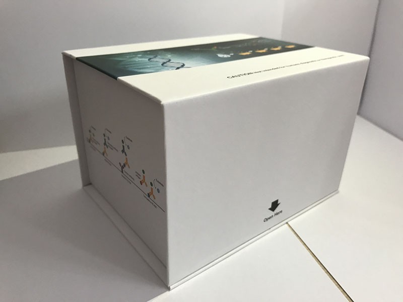 间�?胰蛋白酶抑制因子重链H1(ITIH1)ELISA检测试剂盒图片