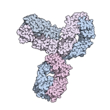 Aducanumab(BIIB037)图片