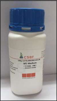 MS培养�?不含琼脂和蔗�?图片