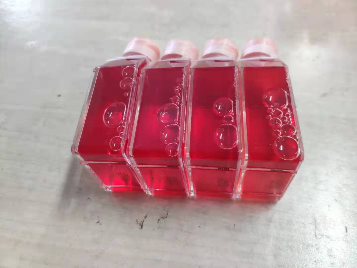 HEPG2人肝癌细胞图�?></a></div>    <span style=