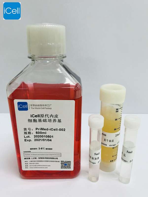 iCell原代内皮细胞培养体系图片