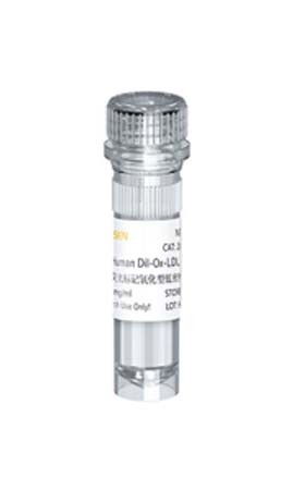 重组CENTG3蛋白图片