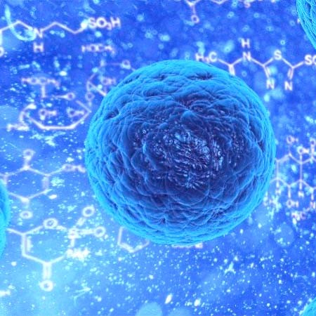 重组阳离子通道精子相关蛋白2图片