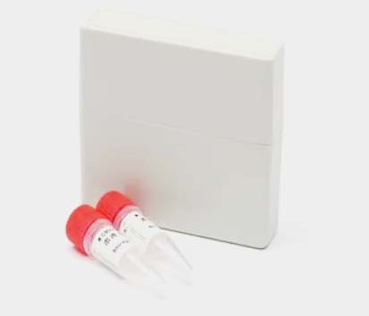 重组膜蛋白CLDND2图片