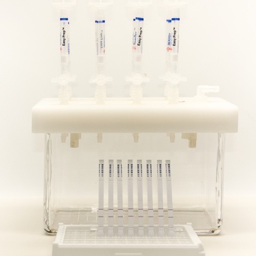 罗丹明B快速检测试纸条-Easy prepTM图片