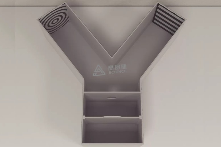 SA653蜜蜂Y迷宫图片