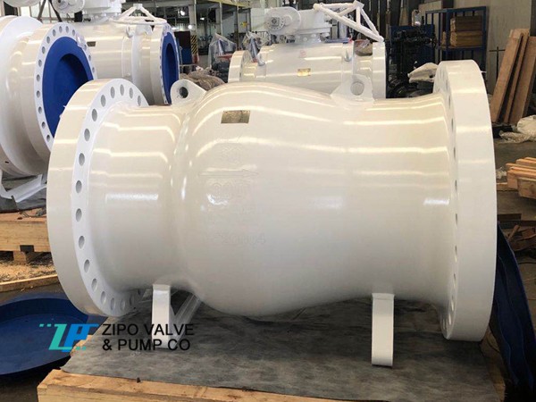 ZSH41F轴流式止回阀图片