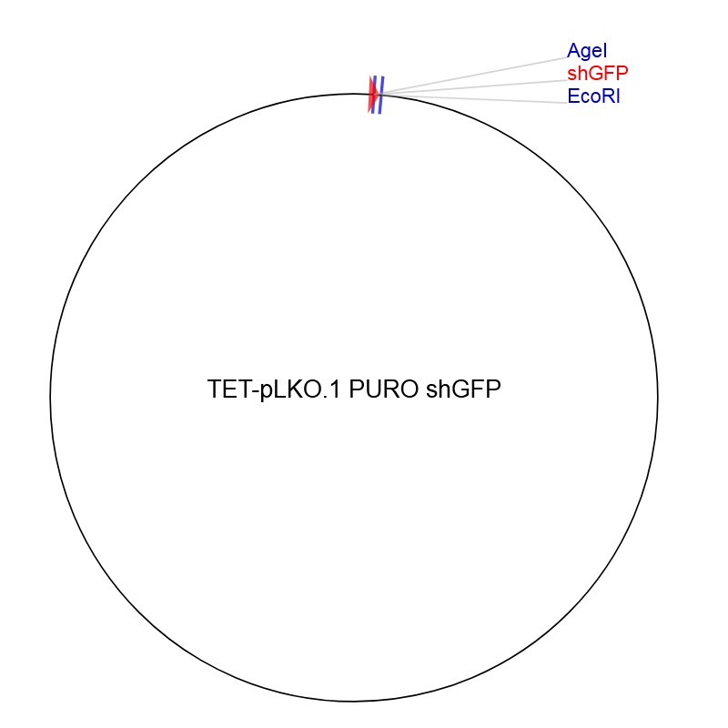 TET-pLKO.1 PURO shGFP图片