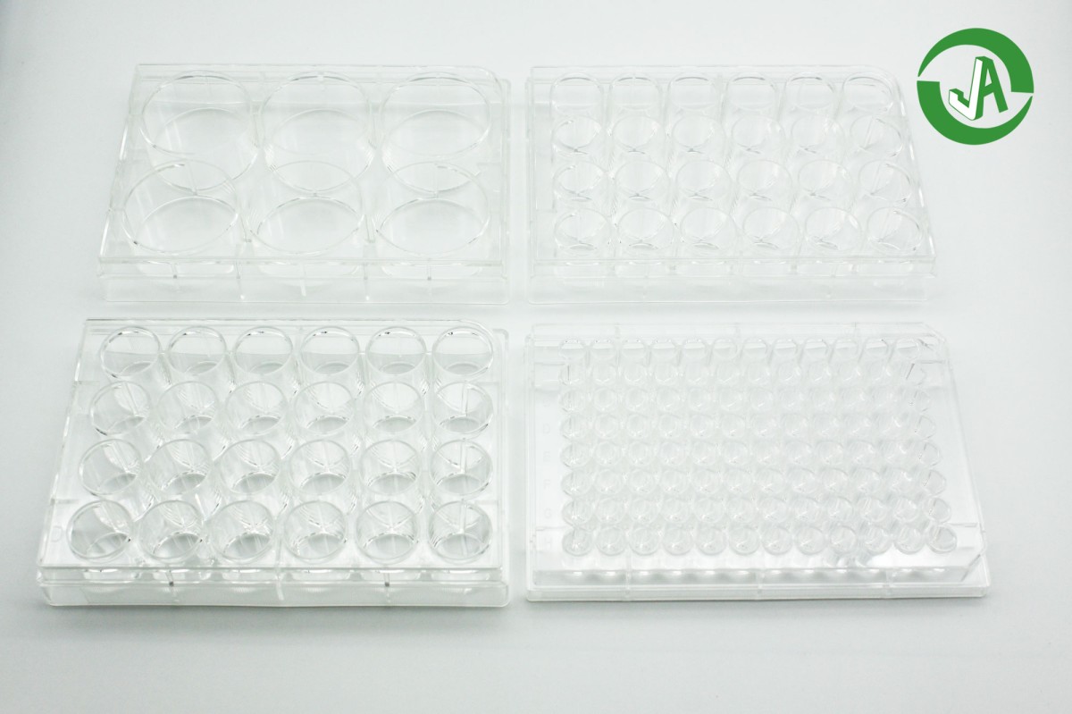 I型胶原蛋白包?6孔板图片