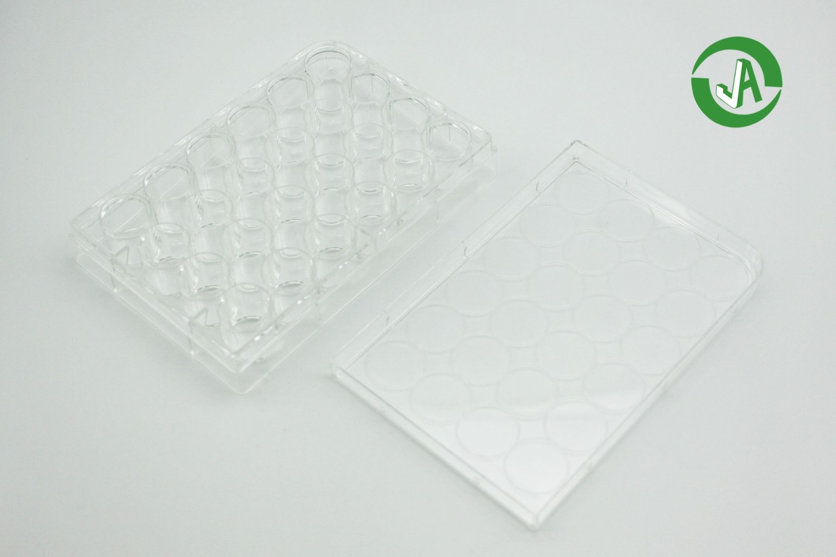 多聚赖氨?6孔细胞培养板图片