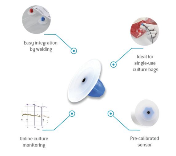 微信截图_20240312112016