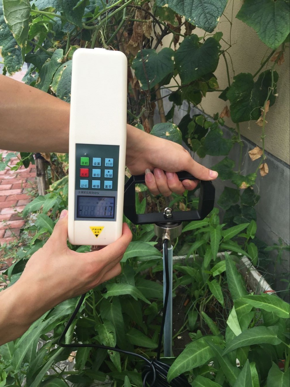 LJSD-2土壤紧实度测定仪图片