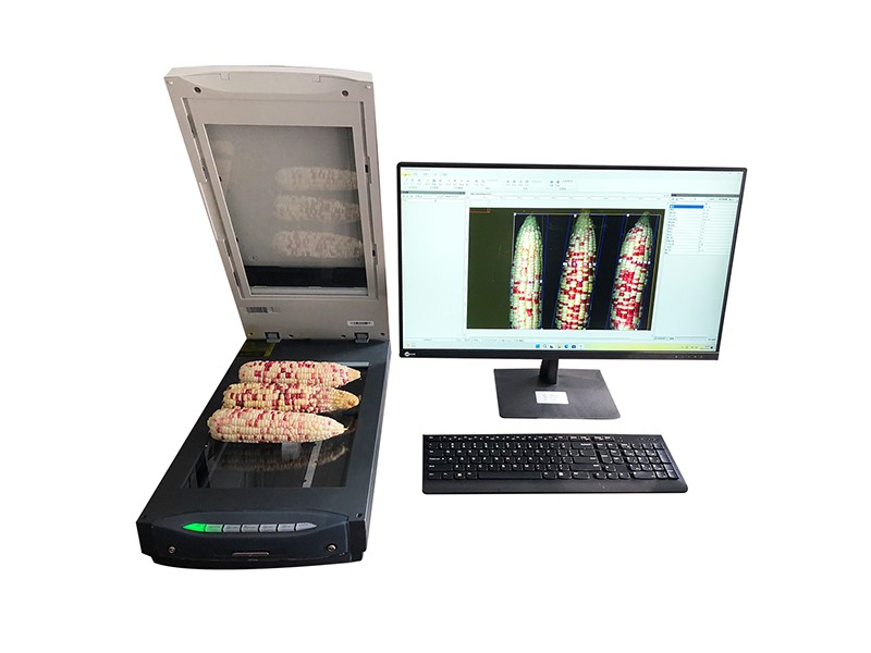 LBKZ-G考种及千粒重分析�?含玉米果�?图片