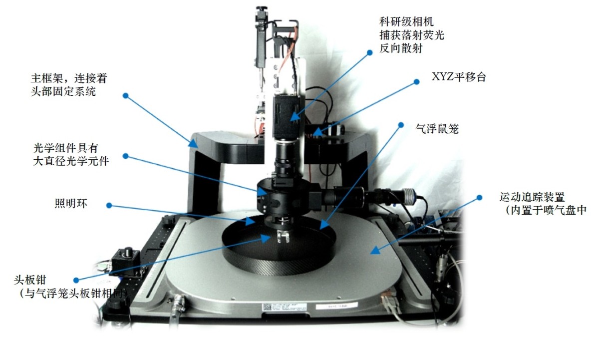 小动物脑介观成像同步系统图片