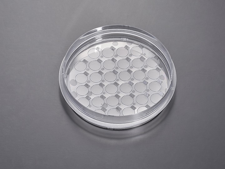 细胞爬片培养�? 6cm,爬片直径8mm,数量18�? CXD206008图片