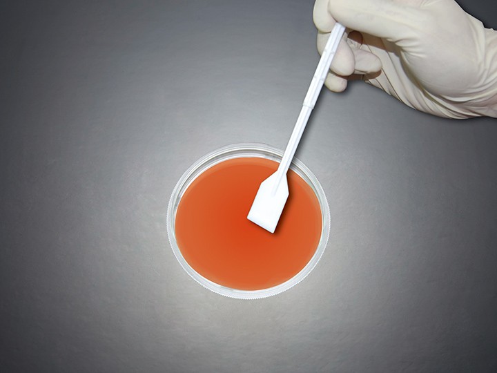 细胞铲刀,总长23.4cm,刀�?mm,不可拆卸,弯钩�?白色,灭菌, CSC012023图片