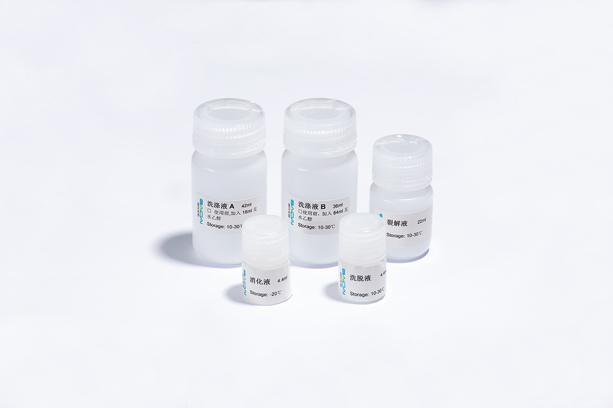 拭子痰液DNA提取试剂盒图�?></a></div>    <span style=