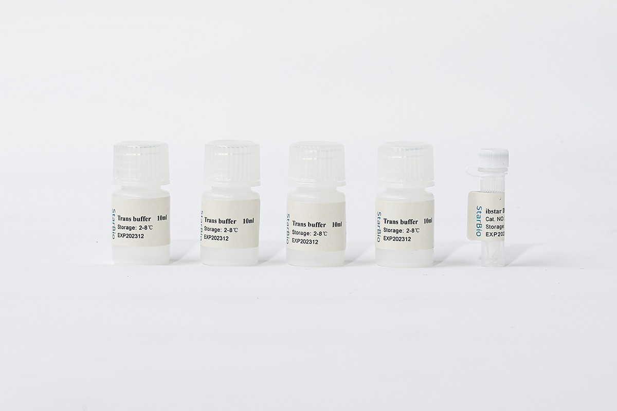 T21002 Starvio质粒DNA转染试剂盒图�?></a></div>    <span style=