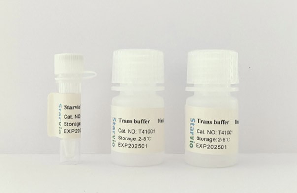 Starvio病毒包装质粒DNA转染试剂盒图�?></a></div>    <span style=