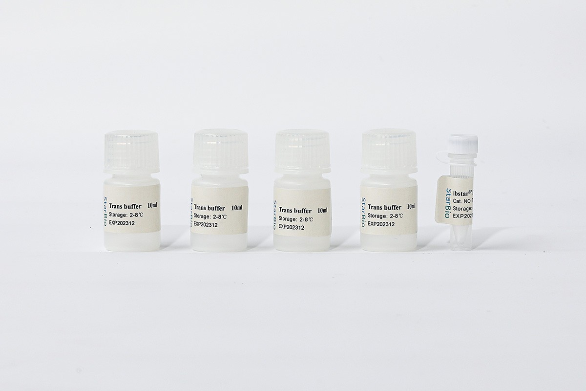 StarvioSP悬浮细胞质粒DNA转染试剂盒图�?></a></div>    <span style=