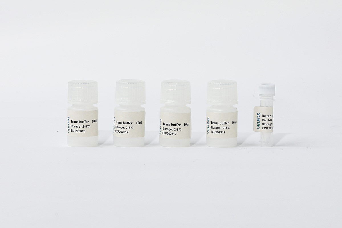 Starvio293细胞DNA转染试剂盒图�?></a></div>    <span style=