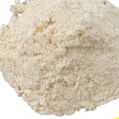 β-乳球蛋白图片