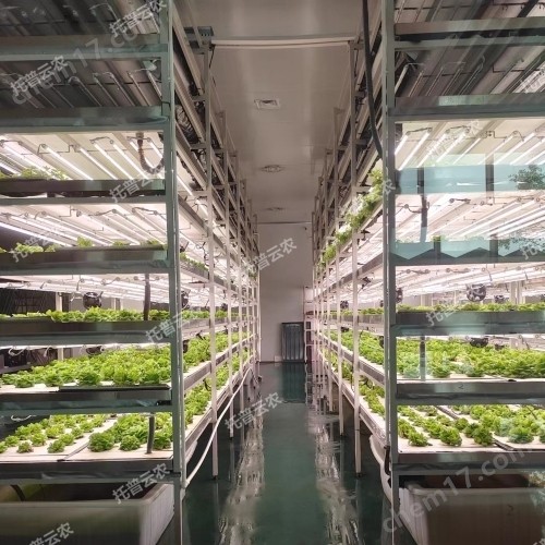 植物生长室图片