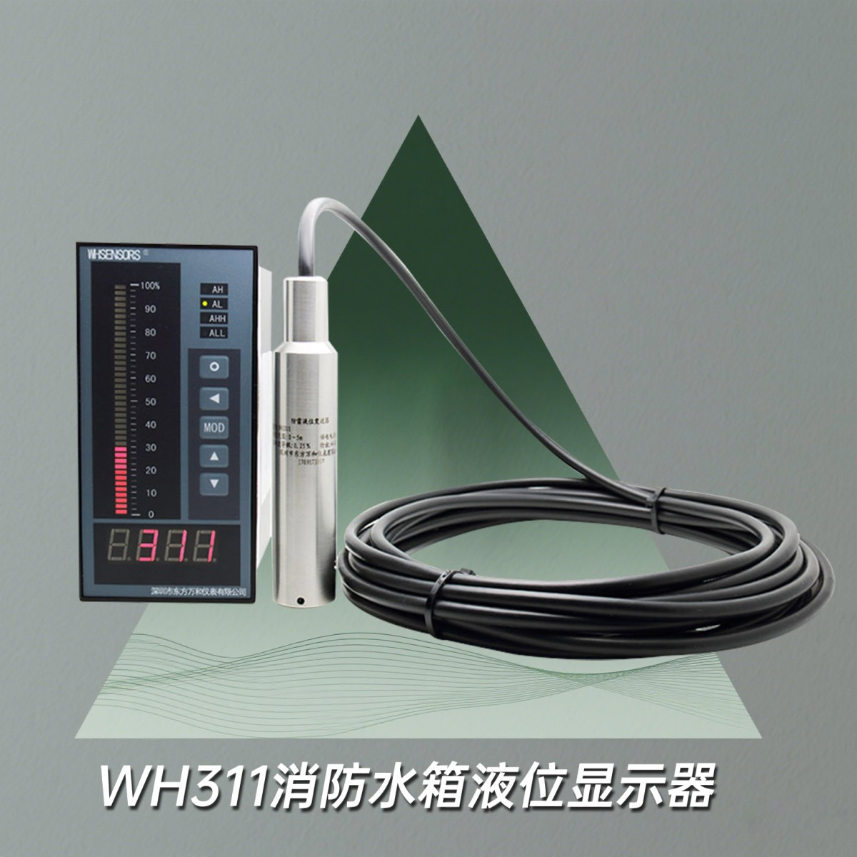 WH311-T液位显示器图片