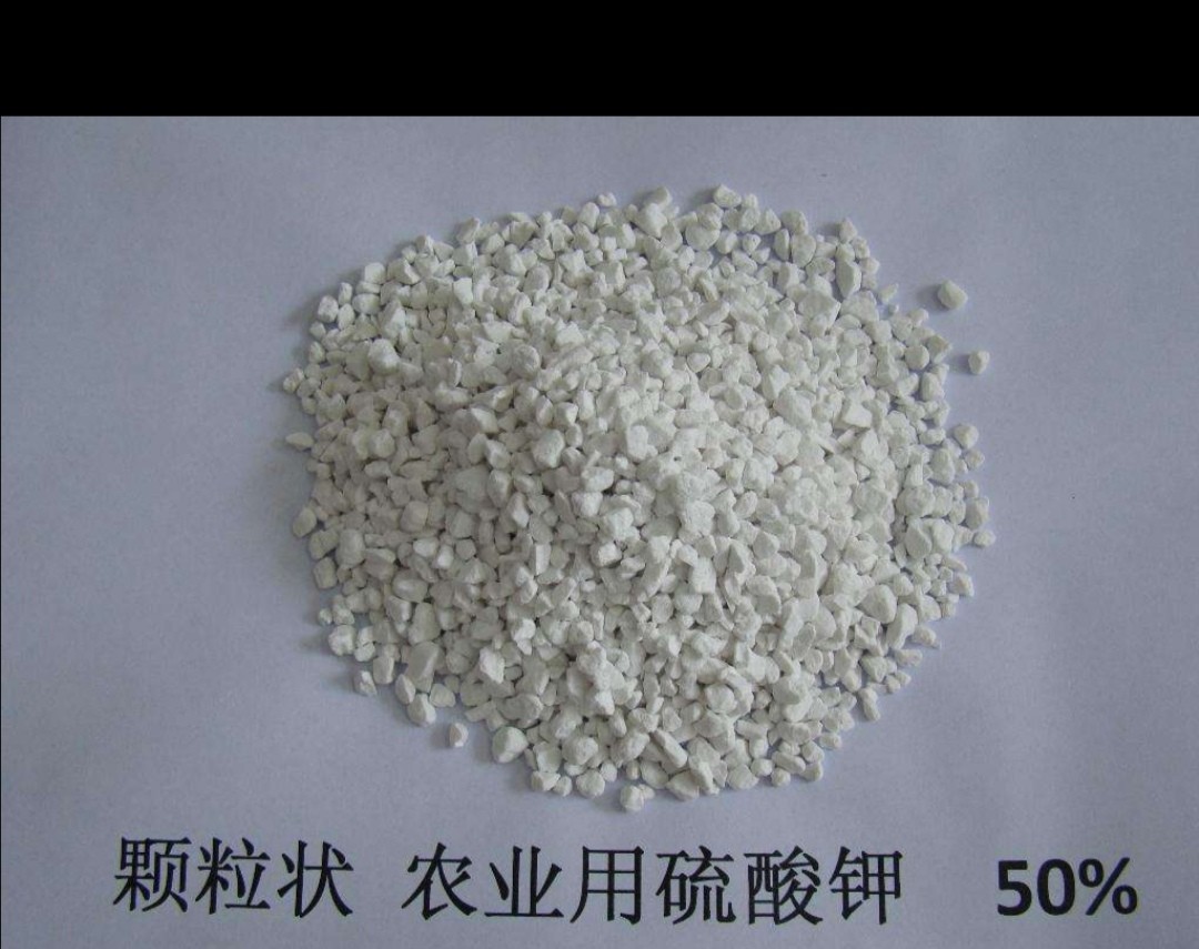 硫酸钾颗粒图片