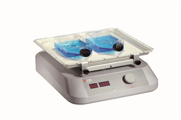 SK-O180-S LED数显圆周摇床图片